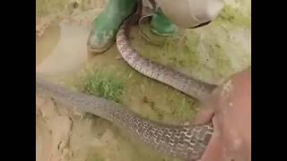 How Fisher Are Catching Many Fises In Sea Side Amazing