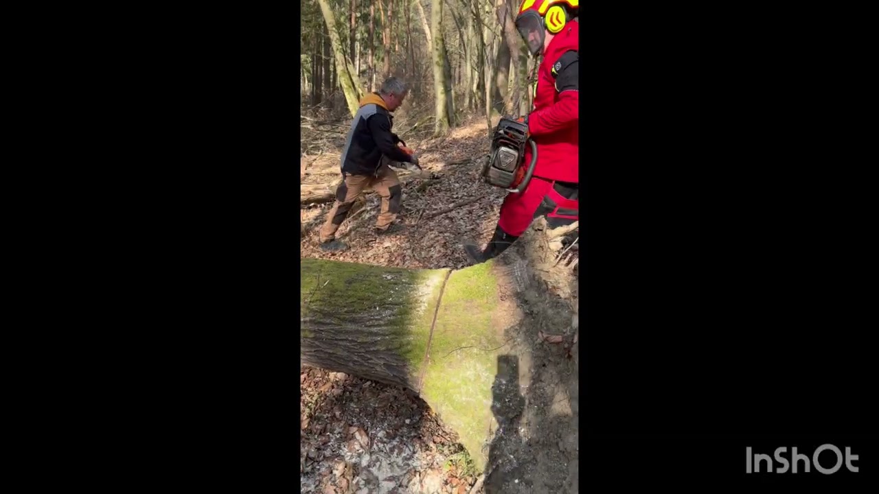 Husqvarna, Stihl őrség csücskében. 