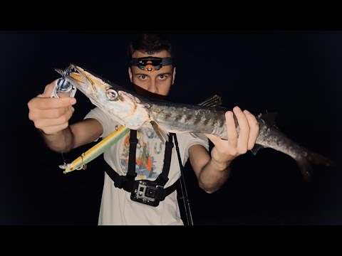 BARRACUDA tra le