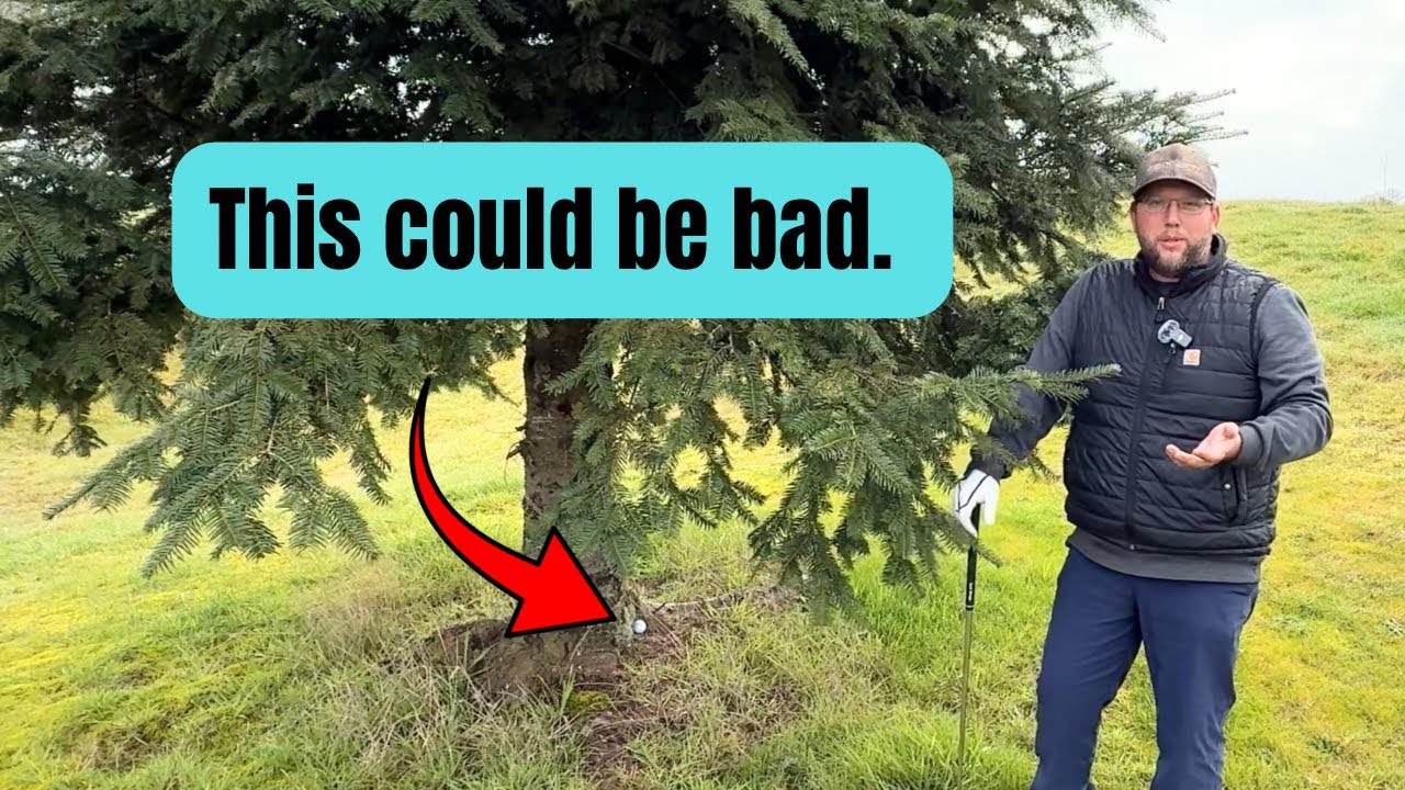 I took an unplayable but learned WAY more