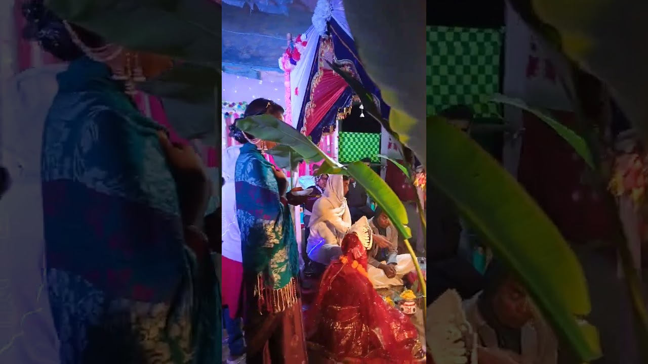 এইতো সেদিন হলো দিদির বিয়ে।