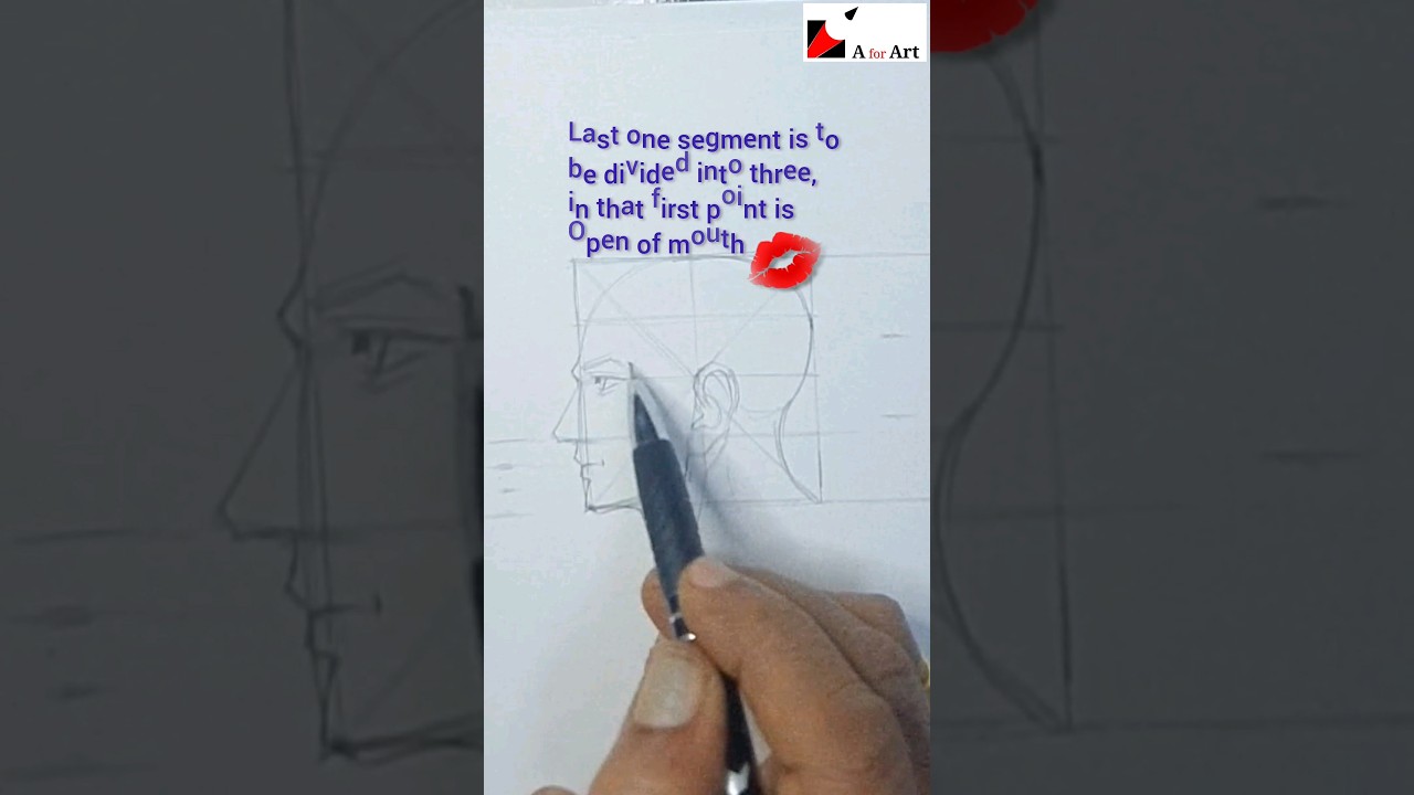 Draw Male face side view with measurements,  Face tutorial 