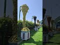 Боздиди Пешвои миллат аз ангурбоғҳои шаҳдбори ш.Турсунзода
