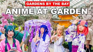 Singapore Gardens By The Bay | Anime at Garden 2024 🇸🇬🌸💃