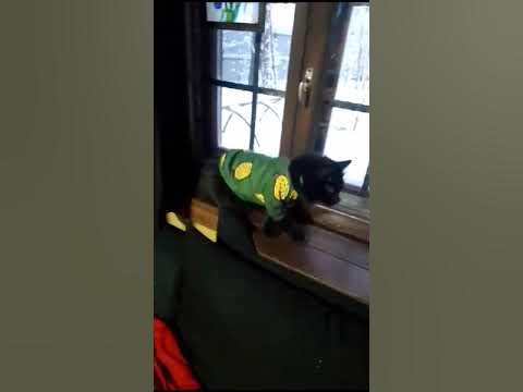 💛 Марсель в свитре💛 - YouTube