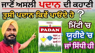 ਝੋਨੇ ਵਿਚ ਕਿਹੜੀ ਪਦਾਨ | Padan Insecticide in Paddy | Cartap Hydrochloride 4 GR | Paddy Insecticides |