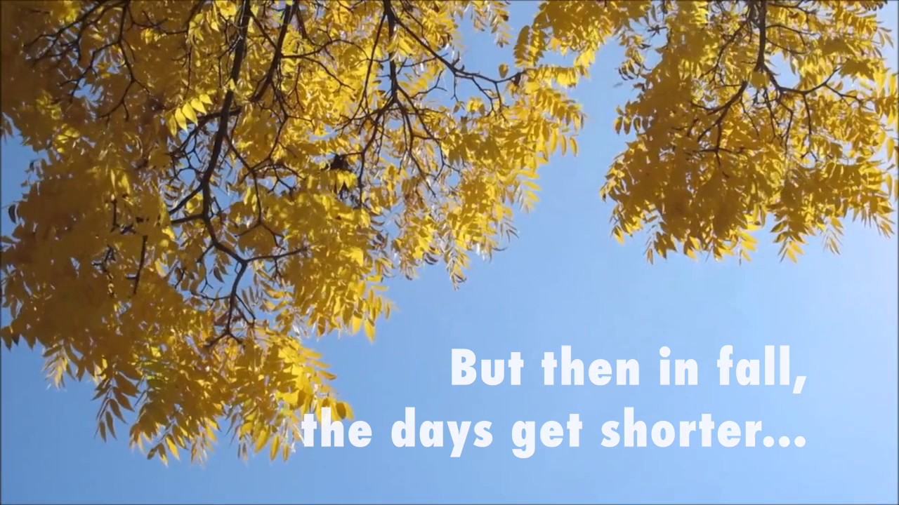 Why Do Trees Lose Leaves In The Winter?