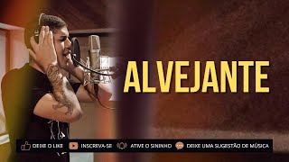 ALVEJANTE | ZÉ VAQUEIRO O ORIGINAL