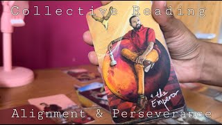 Collective Reading: STAY IN ALIGNMENT & CONTINUE TO PERSEVERE! #collectivereading #tarotreadings