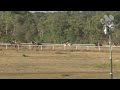 View race 7 video for 2026-08-15