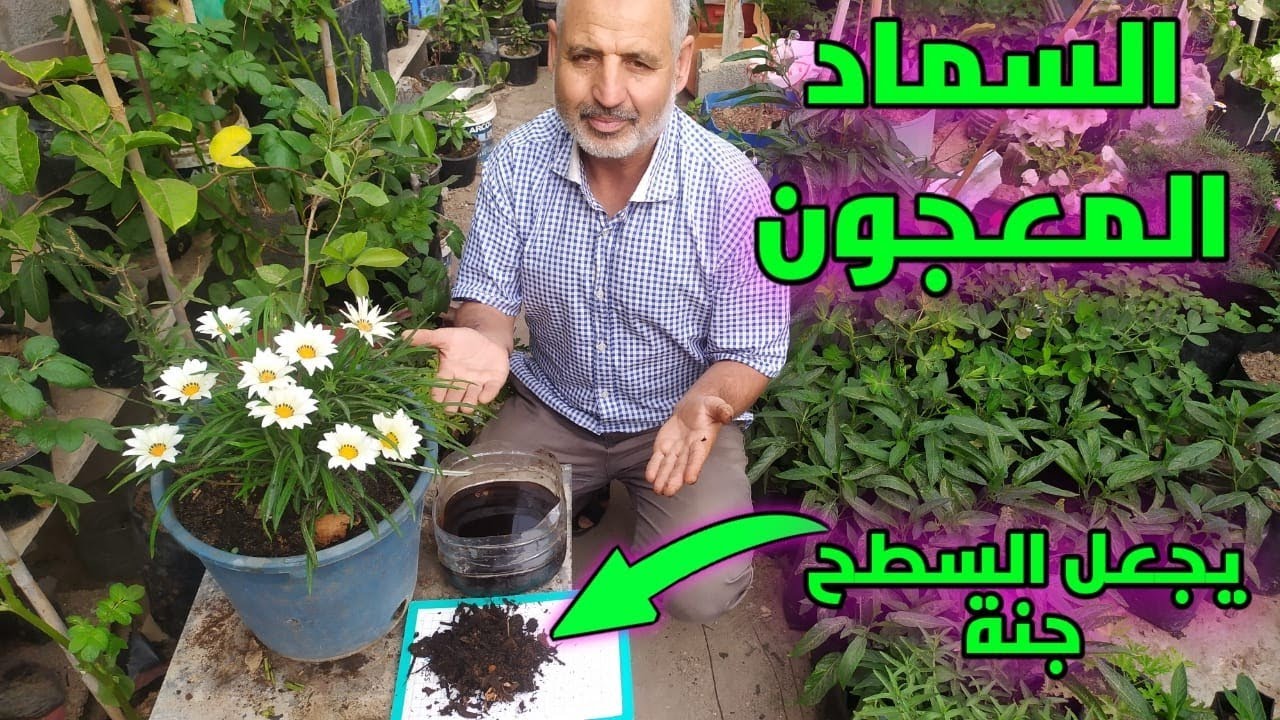 حول بقايا القهوة إلى معجون بهذه الطريقة وستصبح أفضل سماد طبيعي على الإطلاق