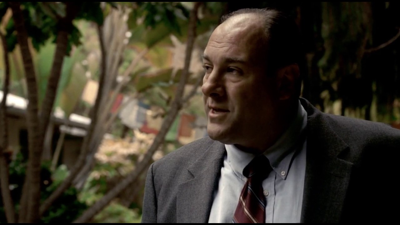 tony soprano look alike