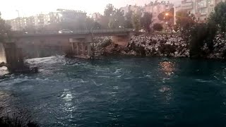 Si̇li̇fke 2021 😍 Silifkenin Yoğurdu 🌹 Silifkenin Youğurdu Ah Seni Kimler Doğurdu Seni Doğuran Ana 🌹