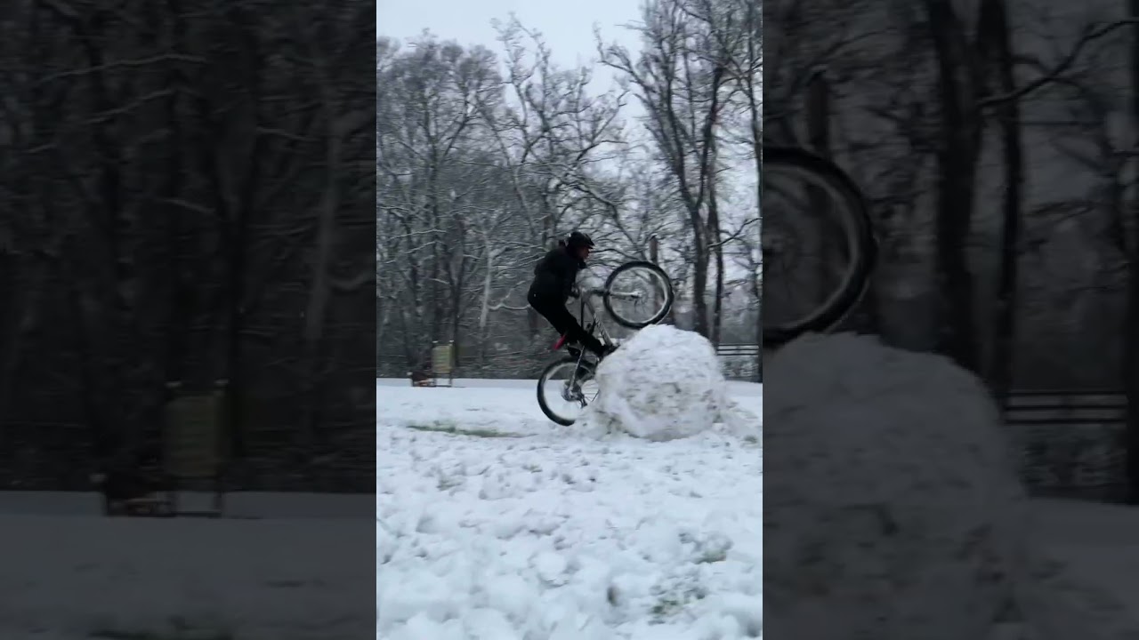 Any transition will do for Brad Simms