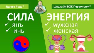 Урок №4 | Мужская и Женская Сила. Янъ и Инь. Совместимость | Практика «Здрава Рода»