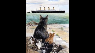 The Story Of Jenny The Cat On The Titanic