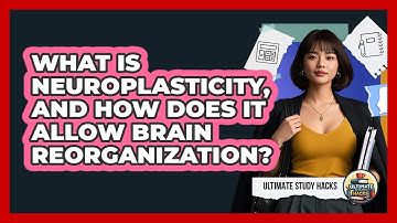 What Is Neuroplasticity, And How Does It Allow Brain Reorganization? - Ultimate Study Hacks