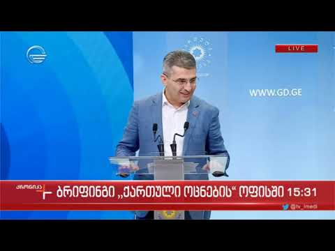 მამუკა მდინარაძის ბრიფინგი