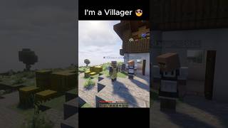 Minecraft Villager Moment