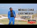 Annoint Amani - WANAULIZANA UNAITWA NANI (Official Video Lyrics)