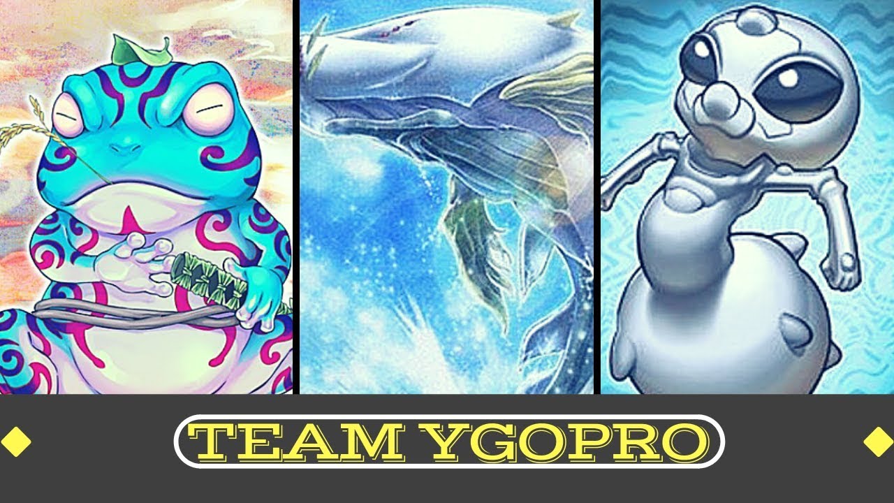 Yugioh Too Strong Graydle Frogs Replays Deck Profile October 18 Youtube Yugioh Too Strong Graydle Frogs Replays Deck Profile October 18 Youtube