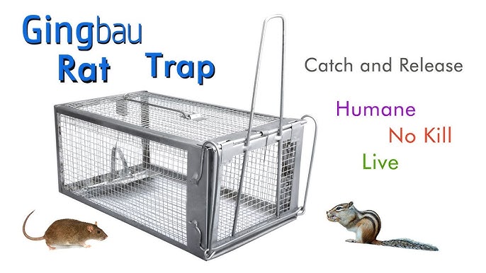 Catch and Release Humane Squirrel and Rodent Trap