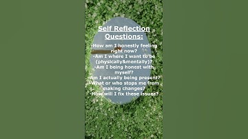 Self Reflection Questions