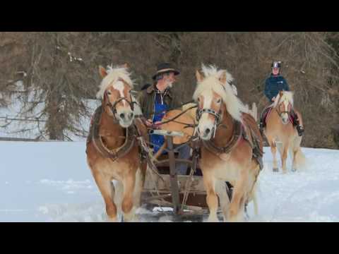 Winterreiten und Schlittenfahrt in Jenesien