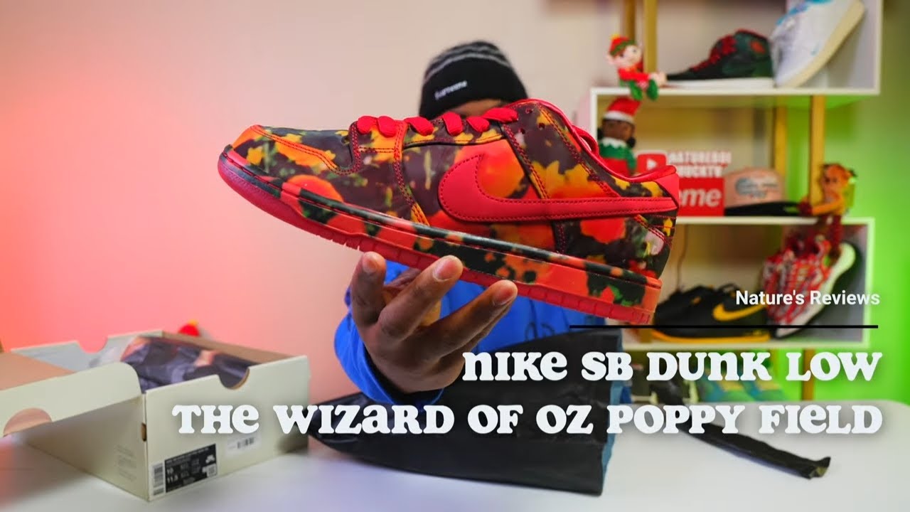 NIKE SB DUNK LOW WIZARD OF OZ POPPY FIELD: WHAT TO EXPECT IN HAND