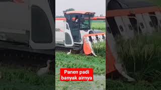 Pertanian Modern # Panen padi banyak air #agrotechnology #agrofarm Pertanian Modern # Panen padi banyak air #agrotechnology #agrofarm