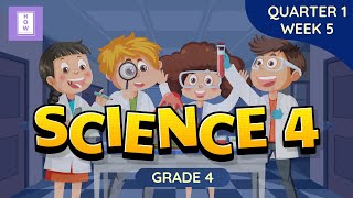 SCIENCE | Grade 4 | Quarter 1 Week 5