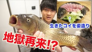 地獄のリベンジ！！コイを姿造りにして刺身で食べるよ！！