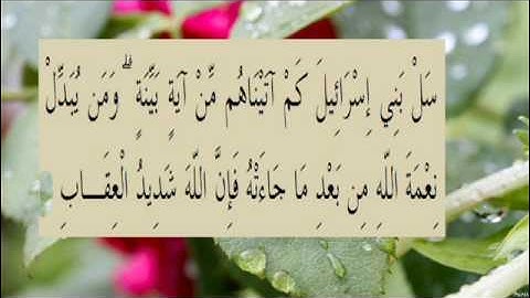 القران الكريم سورة البقرة الاية  211