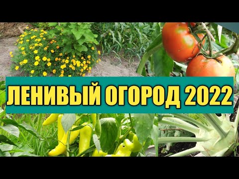 ЛЕНИВЫЙ ОГОРОД: НЕ