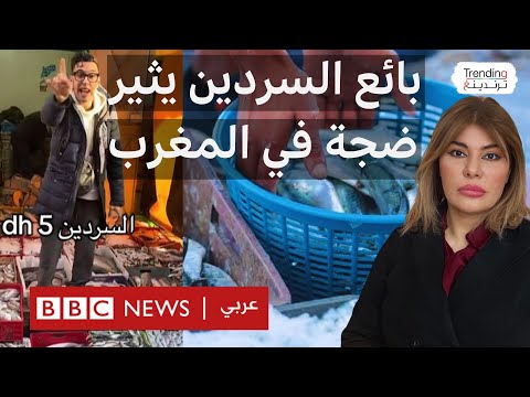 بائع السردين بخمسة دراهم في المغرب يفضح احتكار سوق الأسماك ما قصة مول الحوت