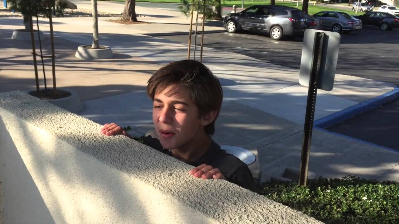 American Dream, Honors World Lit