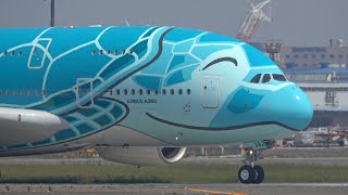 エアバス A380 ANA JA382A FLYING HONU mqdefault.jpg