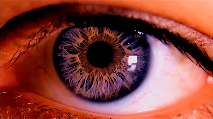 AMANDA LEHMANN  -  The Watcher - OFFICIAL VIDEO (2...