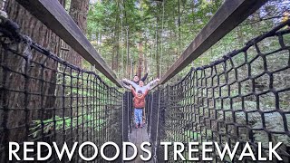 Walking Above the Forest at REDWOODS TREEWALK || ROTORUA || NEW ZEALAND by Family Side Trip 1,707 views 1 year ago 9 minutes, 55 seconds