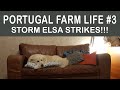 Portuguese Winter Storms - Storm Elsa Strikes | Portugal Farm Life 2-03