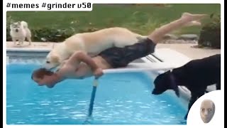 if you laugh ur head explodes v50 #memes #grinder
