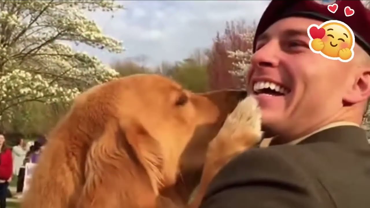 🐶 My Dad's Return Means Everything to Me… and I'm Ecstatic! 🥹❤️ #DogReunion #Homecoming