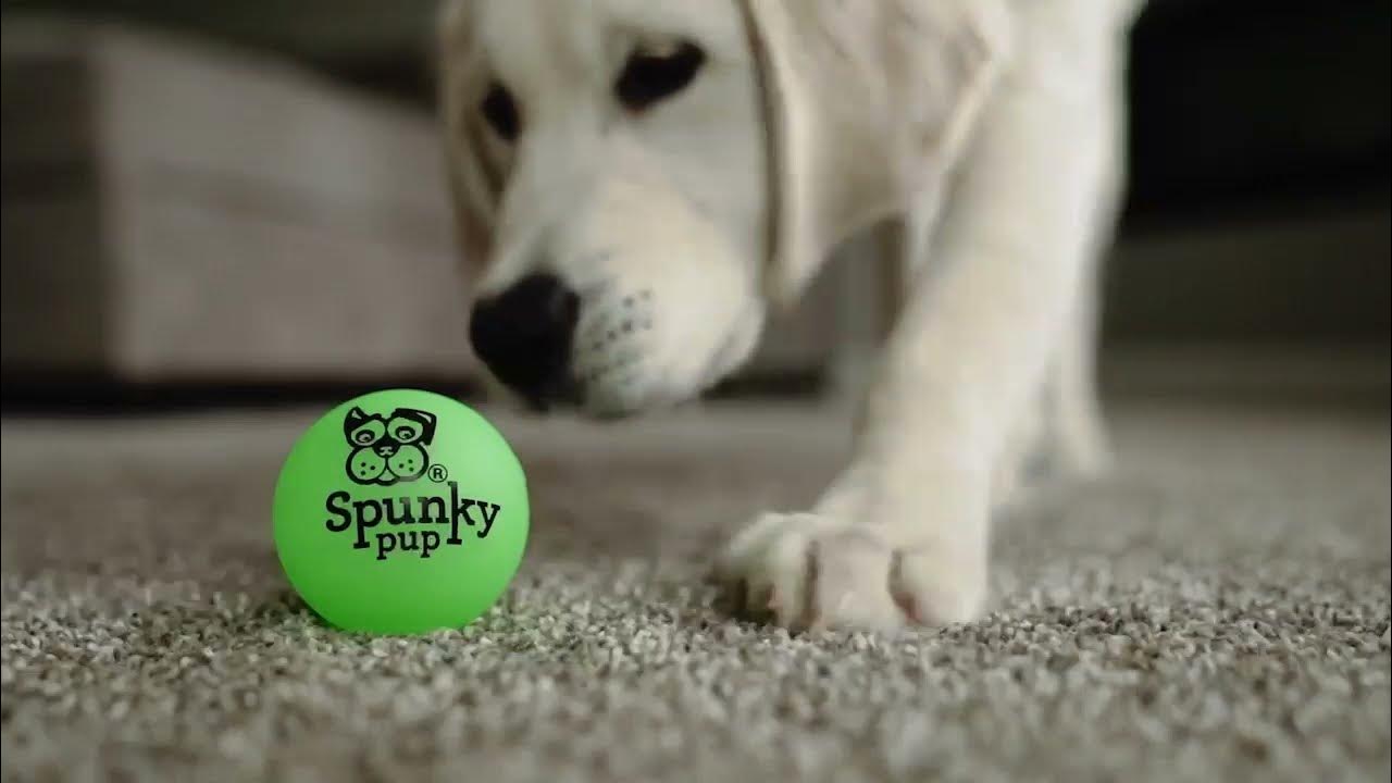 Spunky Pup Fetch & Glow Ball Glow in the Dark Dog Toy YouTube
