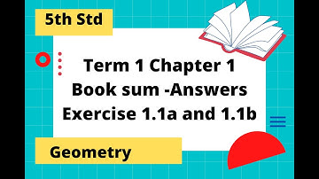 5th std Ex 1.1a Ex 1.1b Maths Term 1 Chapter 1  Geometry Symmetry