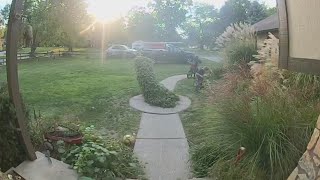 Famous Elyria residents call for change after 9-year-old killed while riding bicycle Net Worth