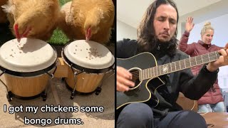 Bongo Chickens x The Kiffness Resimi