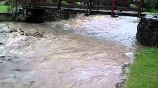 VID_20130710_090024_464.mp4