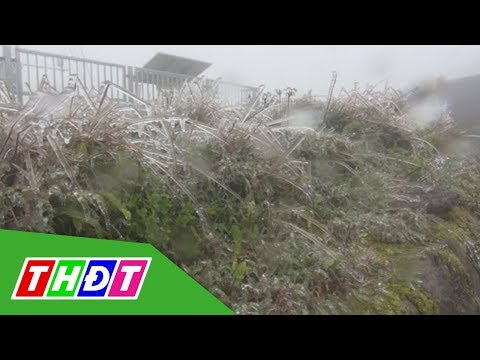 Video Xuất hiện băng giá trên đỉnh Mẫu Sơn (Lạng Sơn) | THDT - youtube