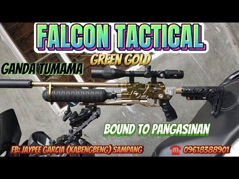 SOLID and Falcon PcP na ito pwede Sa lahat ng Pellert Ganda Tumama💚 ...