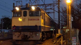 【原色】JR貨物 EF65-2087号機+コキ15B 新A72仕業[4073レ] 宇都宮タ行 小田第三踏切通過！